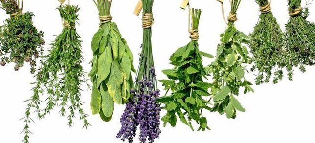 Herbes pour augmenter la puissance chez les hommes.